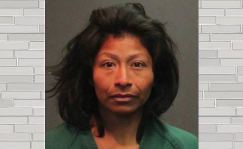 Claudia Hernandez Diaz mugshot
