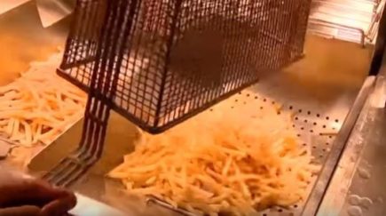 New Study: Oil used in McDonald’s french fries may hold the key to ...
