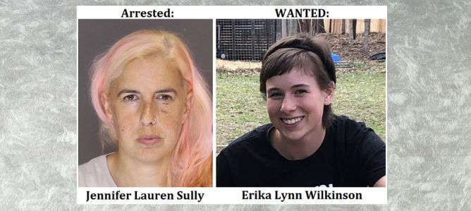 One woman arrested, one woman still sought in theft of calf from Maryland farm