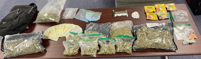 Ace News Today - Drugs, gun and money: Two unrelated traffic violations lead to two separate drug busts