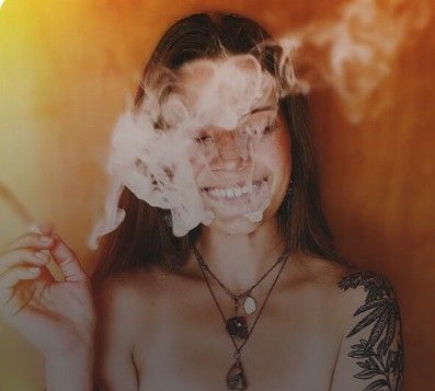 Ace News Today: New research reveals the Top 10 U.S. States for Legal Cannabis Cultivation.