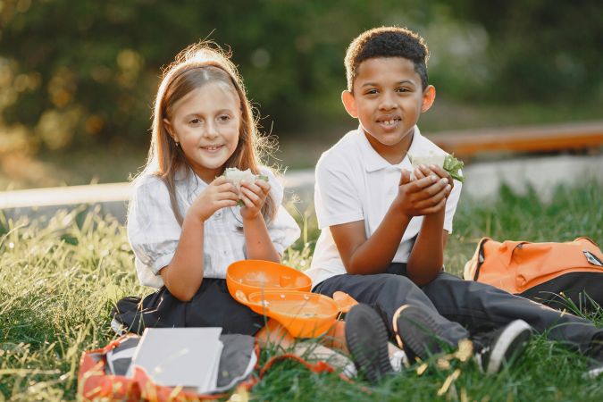 Ace News Today:  Harford County Public Schools: Locations and times for kids’ free summer lunches. Image credit, pexels.com
