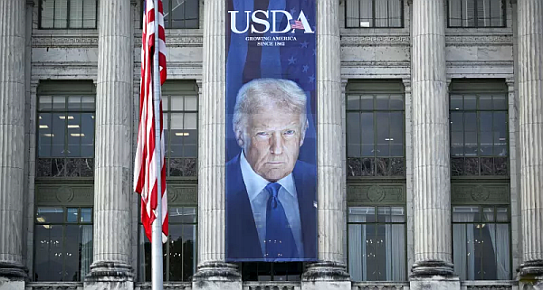 20 states sue Trump administration for breaking federal privacy laws and the US Constitution