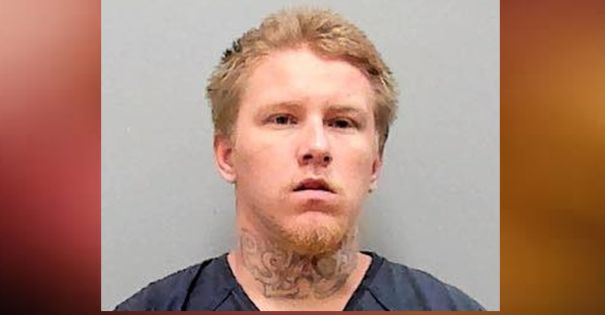 Stuart man gets 5-years in prison for vicious beating of 9-year-old Golden Retriever ‘Stella’