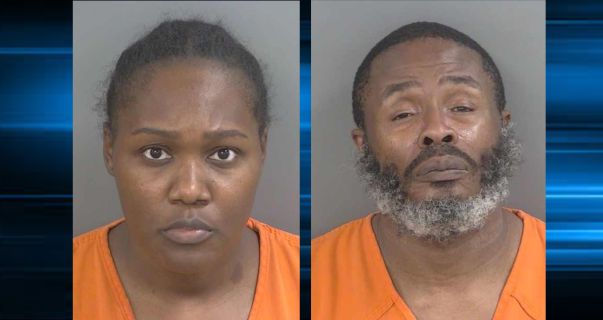 Traffic stop nets couple dealing in multi-state thefts and credit card fraud