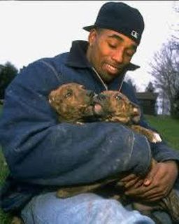 Ace News Today -  Leshon Johnson: Former NFL player charged in largest dogfighting ring bust ever.  , (Image credit: X)