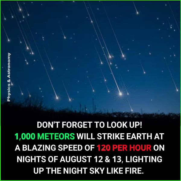 Ace News Today: 2025 Perseid Meteor Shower will peak on the night of August 12. Image credit: X