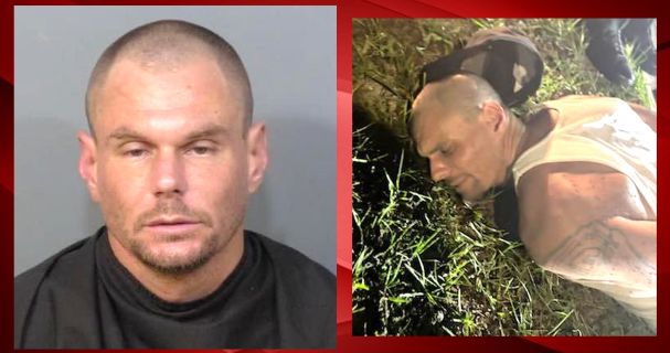 Repeat offender busted again, tased in Brevard County while on burglary spree