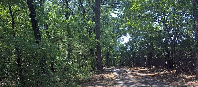 Ace News Today: Hunter Park sexual assault suspect identified, arrested, charged with rape. Image credit: Google Maps