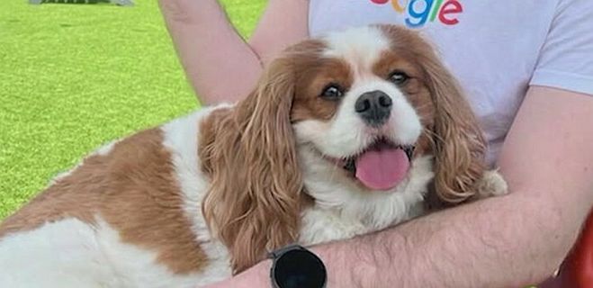 Ace News Today: Warrant Issued for ‘Fast & Furious’ actor Tyrese Gibson’s arrest. Image credit: X