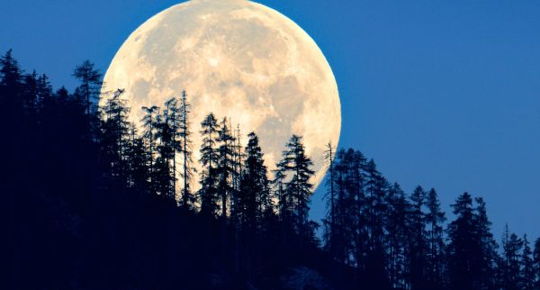The ‘Cold Moon Supermoon’ arrives on December 4, and these States will have the clearest view