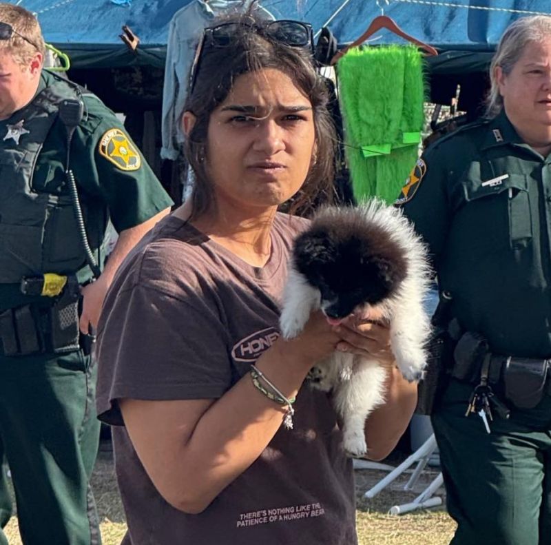 Ace News Today: Puppy thief caught: Stolen $2,900 Pomeranian recovered after surveillance video leads police across Florida. Image credit: Stuart Police Department