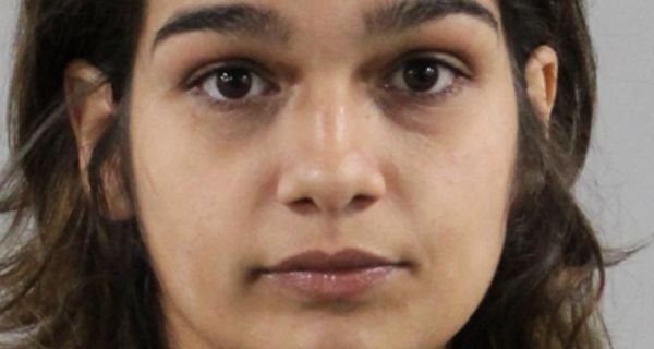 Puppy thief caught: Stolen $2,900 Pomeranian recovered after surveillance video leads police across Florida