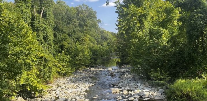 Ace News Today: Teen lured to Maryland Park: Four charged in his brutal killing. Image credit: All Trails