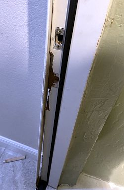 Ace News Today: Door-kicking ‘prank’ linked to TikTok trend ends in tragedy, Florida teen arrested. Image credit: VSO