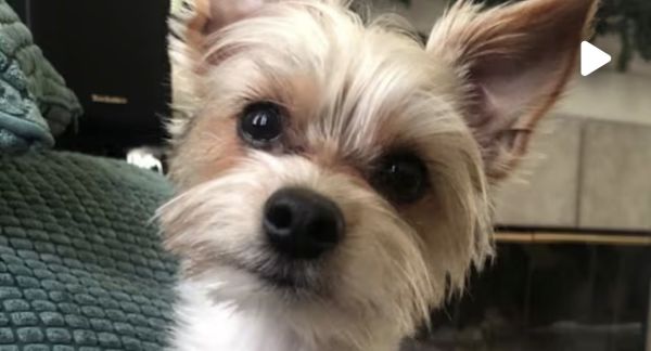 Ace News Today: Door-kicking ‘prank’ linked to TikTok trend ends in tragedy, Florida teen arrested. Image credit: VSO