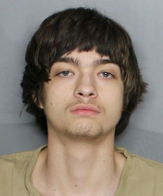 Ace News Today: Florida teen arrested after luring minors, supplying drugs and engaging in sexual acts, Sheriff says. Image credit: CCSO