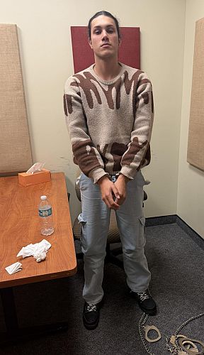 Ace News Today: Venezuelan immigrant tries drowning random woman in violent, unprovoked beach attack. Image credit: MCSO