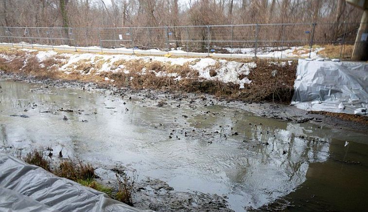 Ace News Today: Potomac River Sewage Crisis sparks health warnings and political finger pointing over blame