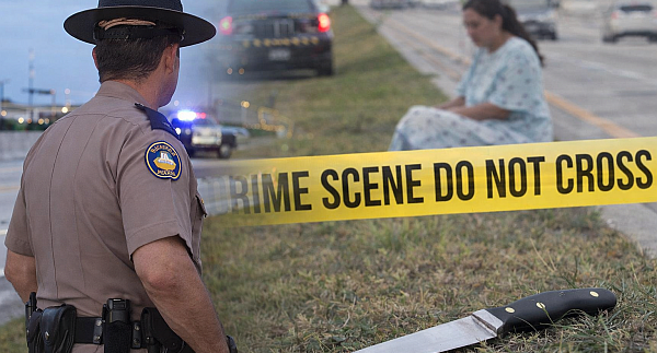 Trooper shoots woman after being stabbed during early morning incident on Miami Expressway