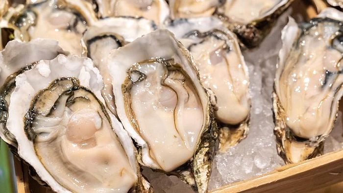 Ace News Today: Raw oysters and clams recalled in 9 states over possible norovirus contamination. Image credit: X