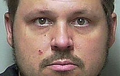 Florida Man arrested after discarding newborn kittens in garbage, four die