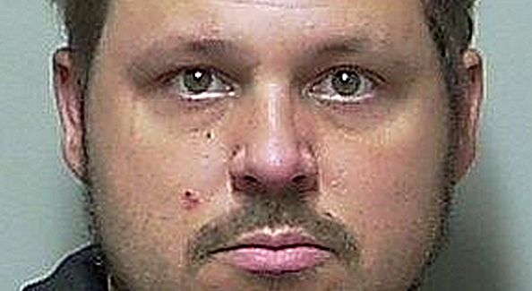 Florida Man arrested after discarding newborn kittens in garbage, four die