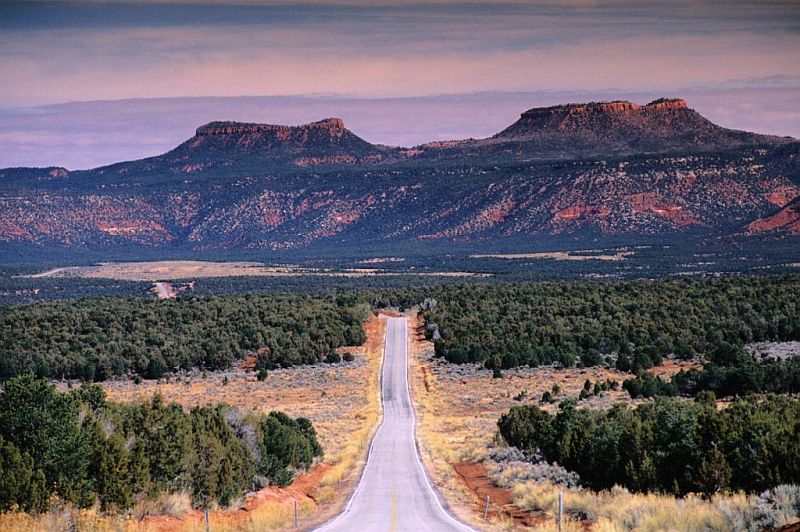 Ave News Today: Trump slashes Utah National Monuments by 90% - reigniting environmental and land conservation battles while destroying sacred tribal sites. Image credit: X