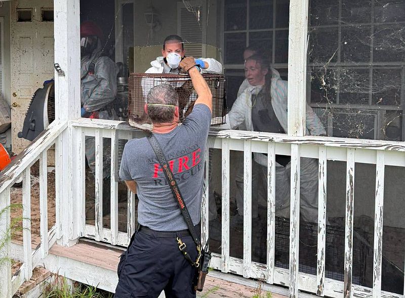 Ace News Today: 92 cats and dogs rescued from Stuart home in largest animal hoarding case Martin County Sheriff has ever seen. Image credit: MCSO