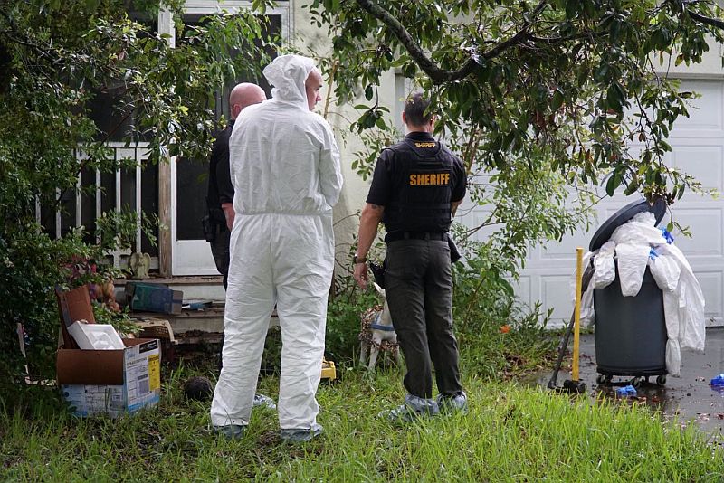 Ace News Today: 92 cats and dogs rescued from Stuart home in largest animal hoarding case Martin County Sheriff has ever seen. Image credit: MCSO